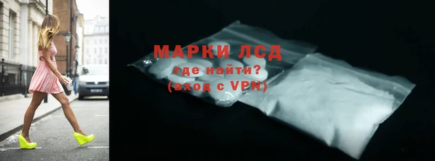индика Алзамай