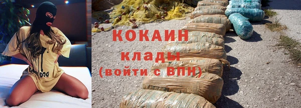 индика Алзамай