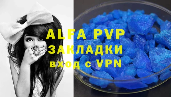 индика Алзамай
