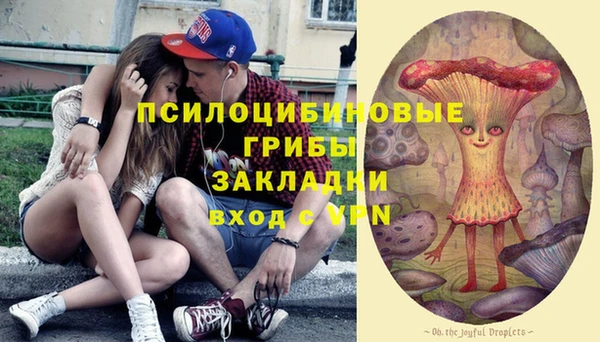 прущий лед Алексин