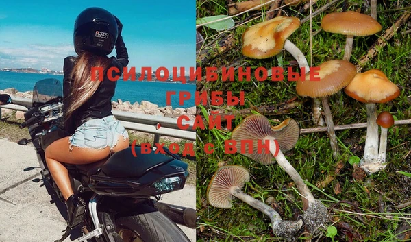каннабис Алексеевка