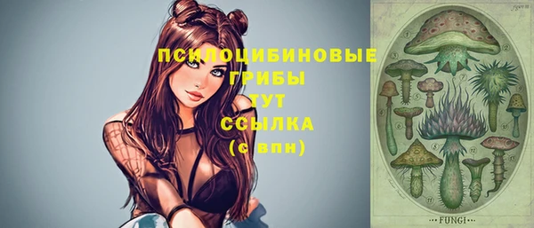прущий лед Алексин
